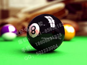 吉林省世紀電腦學校影視動畫班 年制課程價格與規格型號全解析